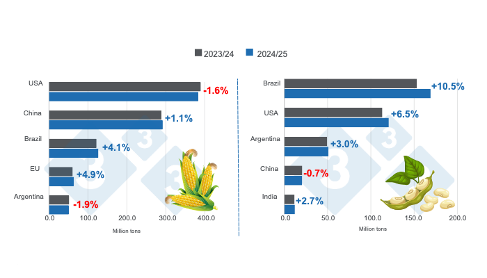 Crop projection for the main world corn and soybean producers - 2024/25&nbsp;versus 2023/24 season. Prepared by 333 Latin America with FAS - USDA data.

